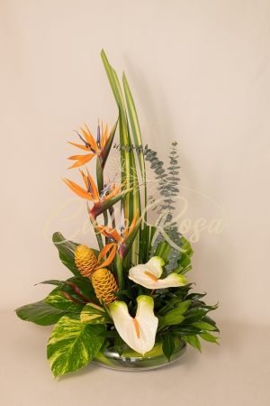 Exotico imperial