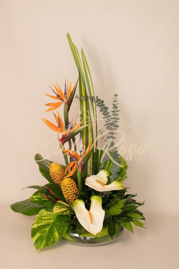 Exotico imperial