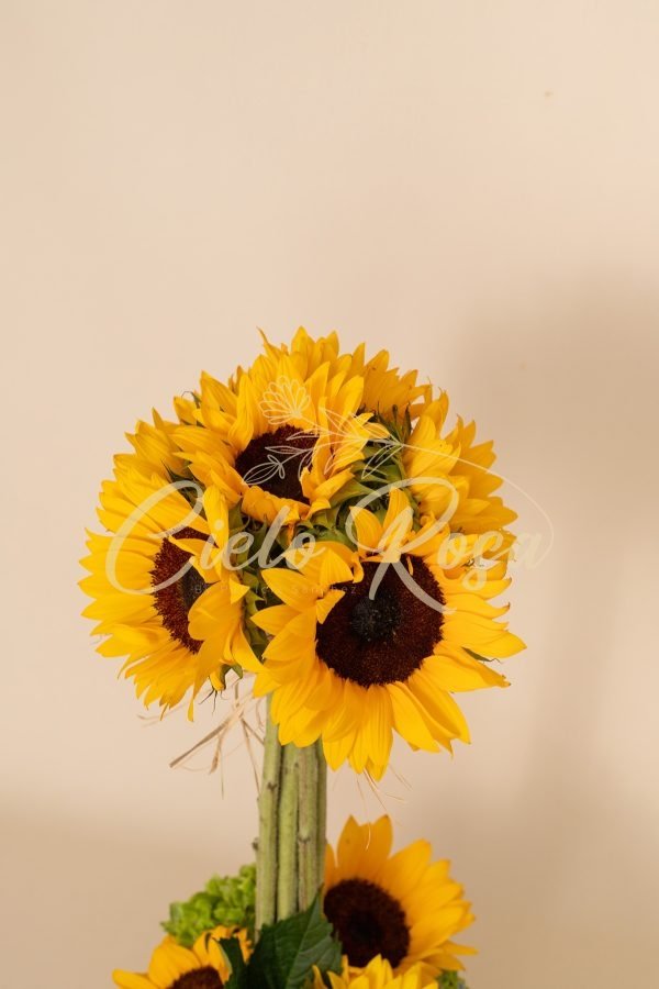 Topiario de Girasol - Imagen 2