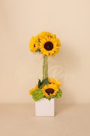 Topiario de Girasol