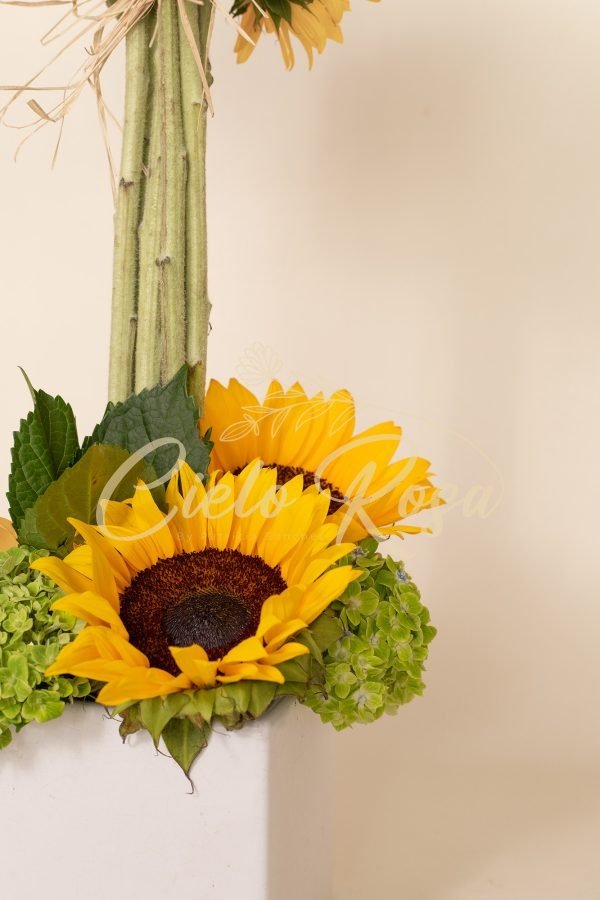 Topiario de Girasol - Imagen 3