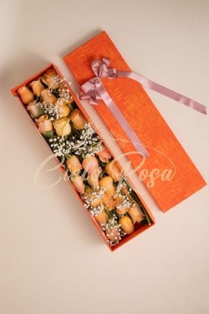 Moments Rose Salmon