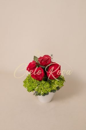 Rosas Porcelana