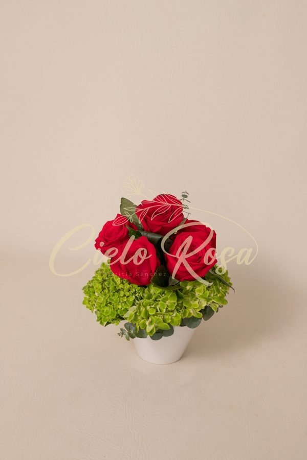 Rosas Porcelana