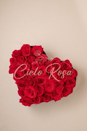 Corazón Apasionado
