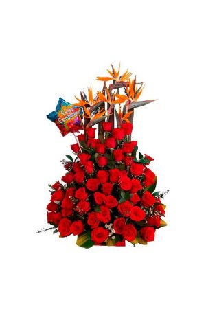 Explosión Rosas rojas