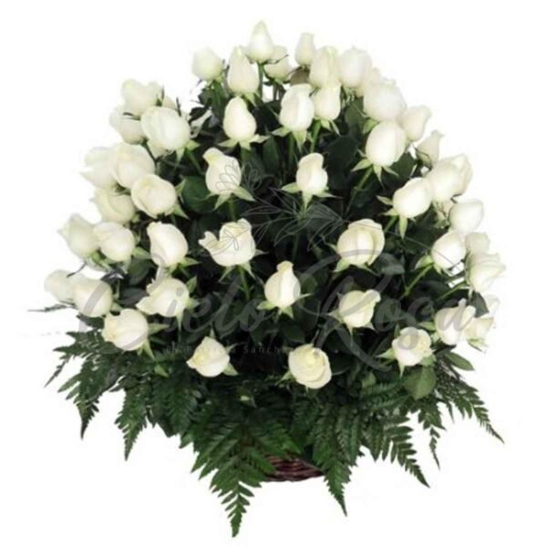 Canasta Fúnebre 50 Rosas Blancas