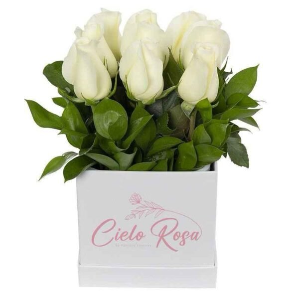 Rosas Fúnebres Caja Pequeña